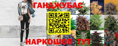 mdpv Кингисепп