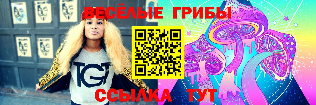 наркошоп  Вход с VPN  Корсаков  Галлюциногенные грибы прущие грибы 